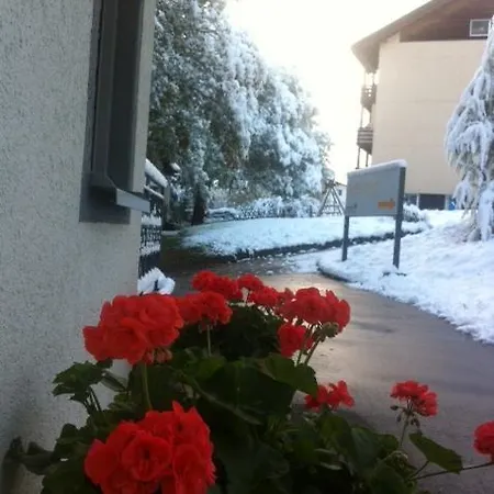 Residenz Ambassador A22 * Leukerbad